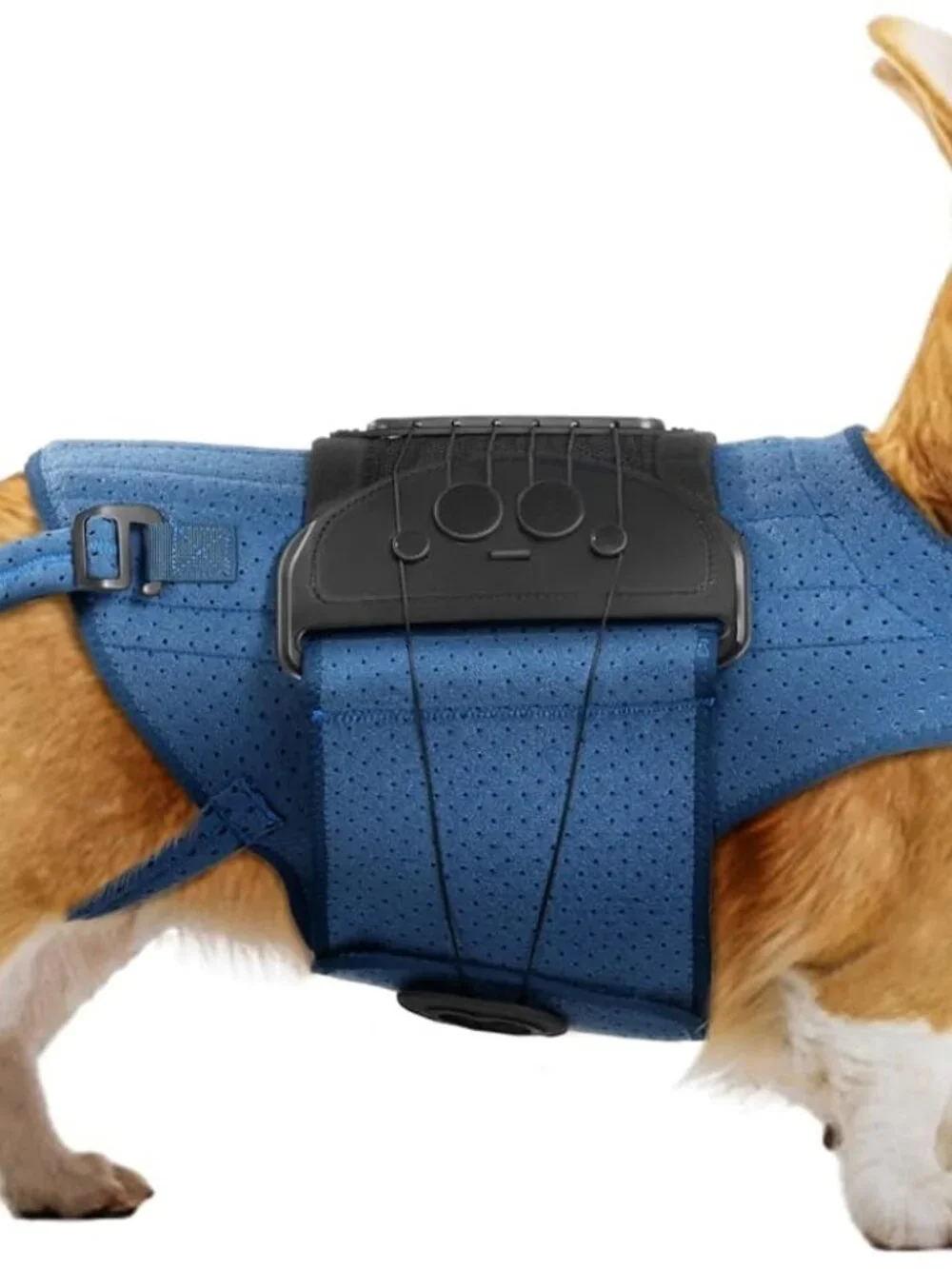 Dog Back Brace for IVDD, Arthritis, Slipped and Herniated Discs